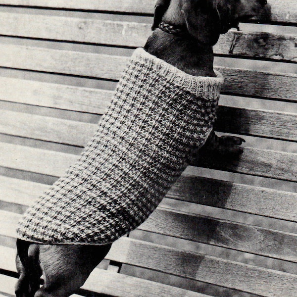 Dachshund Dog coat- fits ( Sausage dog), knitted in DK 8 Ply Light worsted wool- download PDF Knit up in 100 grams yarn