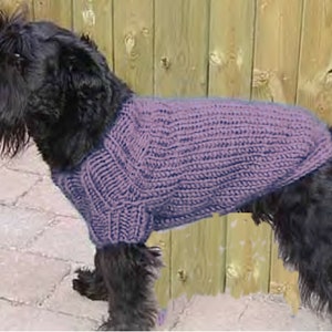 May include: A black dog wearing a purple knitted jumper. The dog is standing on a brick surface with a wooden fence in the background.
