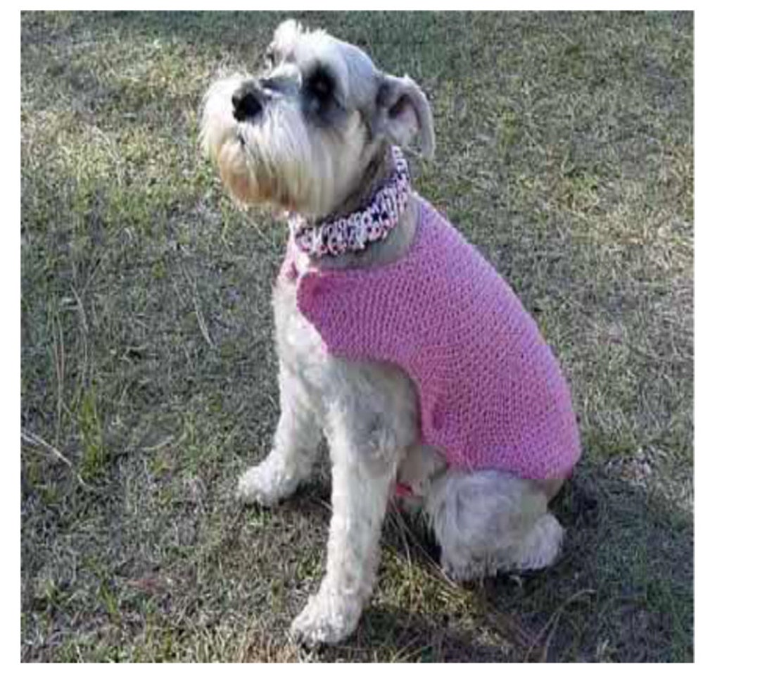 One Piece Dog Coat Easy Chunky/bulky Knit1014inches Neck to Tail