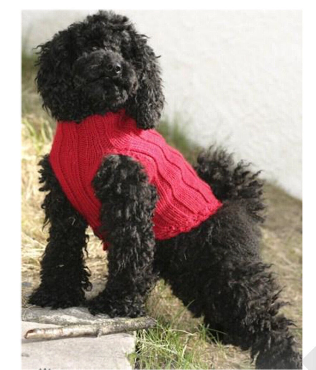 Poodle Knitting Sweatshirt