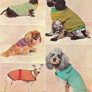 Dog Coats Knitting pattern - 5 styles in DK 8 ply- Spaniel Pekinese Lurcher Dachshund & poodle, Download PDF- various sizes Vintage pattern