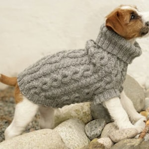 Puede incluir: Un perro pequeño con un suéter de punto gris con un patrón de trenza. El perro está de pie sobre una pila de piedras.