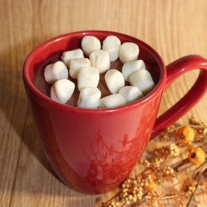 Hot Cocoa - Novelty Candle