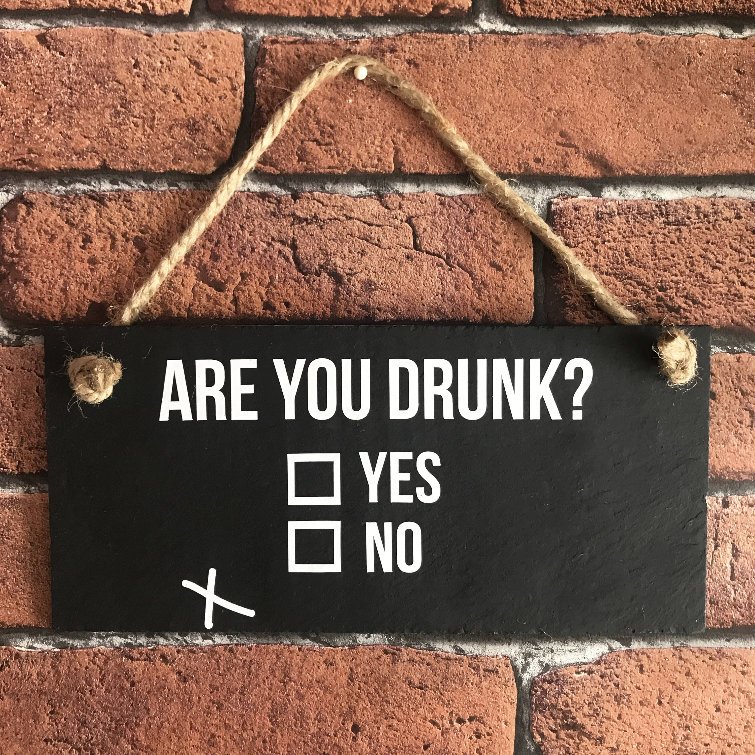 Home Bar Sign Funny Alcohol Sign Are You Drunk Funny Etsy UK