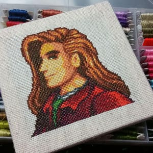 May include: Cross-stitch embroidery of a person with long brown hair, wearing a red and green jacket. The embroidery is framed and displayed on a white background.