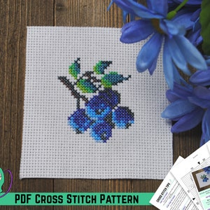 Blueberry Cross Stitch Pattern - Fruit Mini - Small, Easy, Beginner Friendly Design  - Quick Stitch - DIY Kitchen Decor - Counted PDF Chart