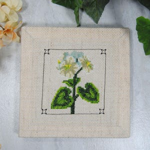 Puede incluir: Arte de punto de cruz cuadrado con una flor blanca y amarilla con hojas y tallo verdes, enmarcada por un borde negro. La obra de arte est&aacute; sobre un fondo de tela beige, con acentos florales.