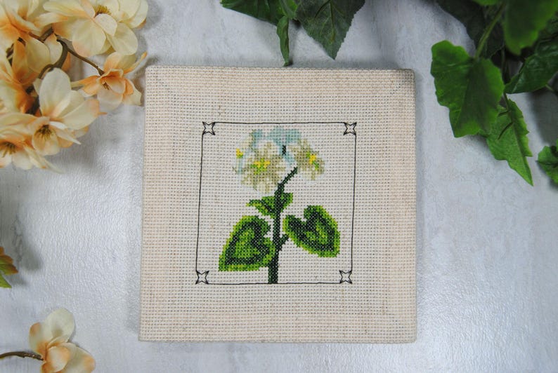 Puede incluir: Arte de punto de cruz cuadrado con una flor blanca y amarilla con hojas y tallo verdes, enmarcada por un borde negro. La obra de arte est&aacute; sobre un fondo de tela beige, con acentos florales.