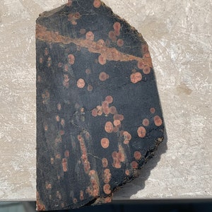 Lapidary Peanut Obsidian Rock Slab PO5
