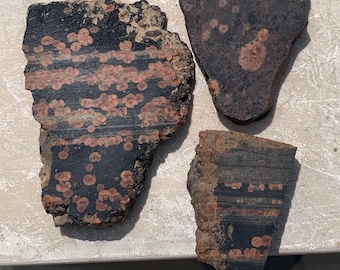 Lapidary Peanut Obsidian Small Rock Slab lot PO1