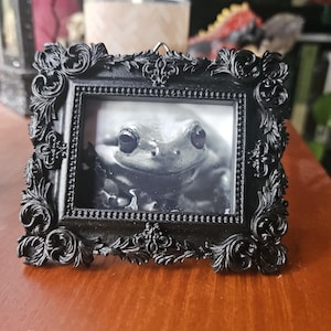 Inramat svartvitt minitryck Dumpy Tree Frog