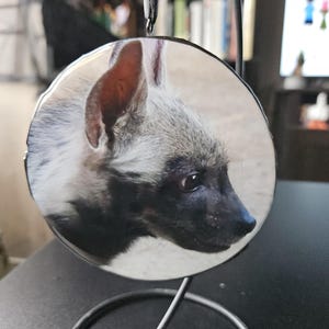 Striped hyena Resin Ornament