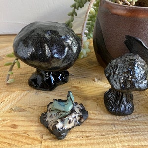 Ready to Ship Black Mushrooms, ceramic mushroom, Aquarium decor, figurine, fairy garden decor, stoneware mushroom, shiny mushroom, clay image 10