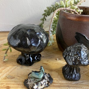 Ready to Ship Black Mushrooms, ceramic mushroom, Aquarium decor, figurine, fairy garden decor, stoneware mushroom, shiny mushroom, clay image 2