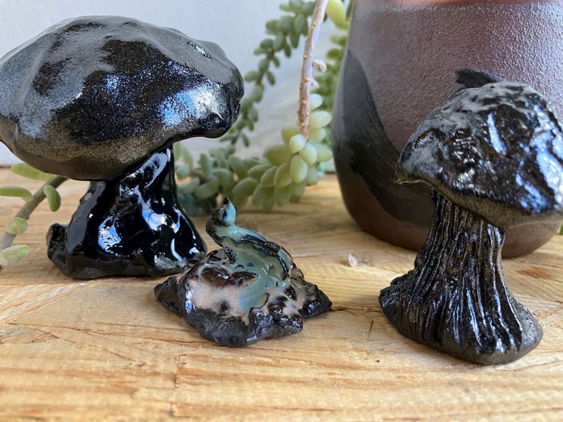 Ready to Ship Black Mushrooms, ceramic mushroom, Aquarium decor, figurine, fairy garden decor, stoneware mushroom, shiny mushroom, clay image 7