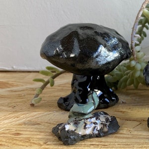 Ready to Ship Black Mushrooms, ceramic mushroom, Aquarium decor, figurine, fairy garden decor, stoneware mushroom, shiny mushroom, clay image 9