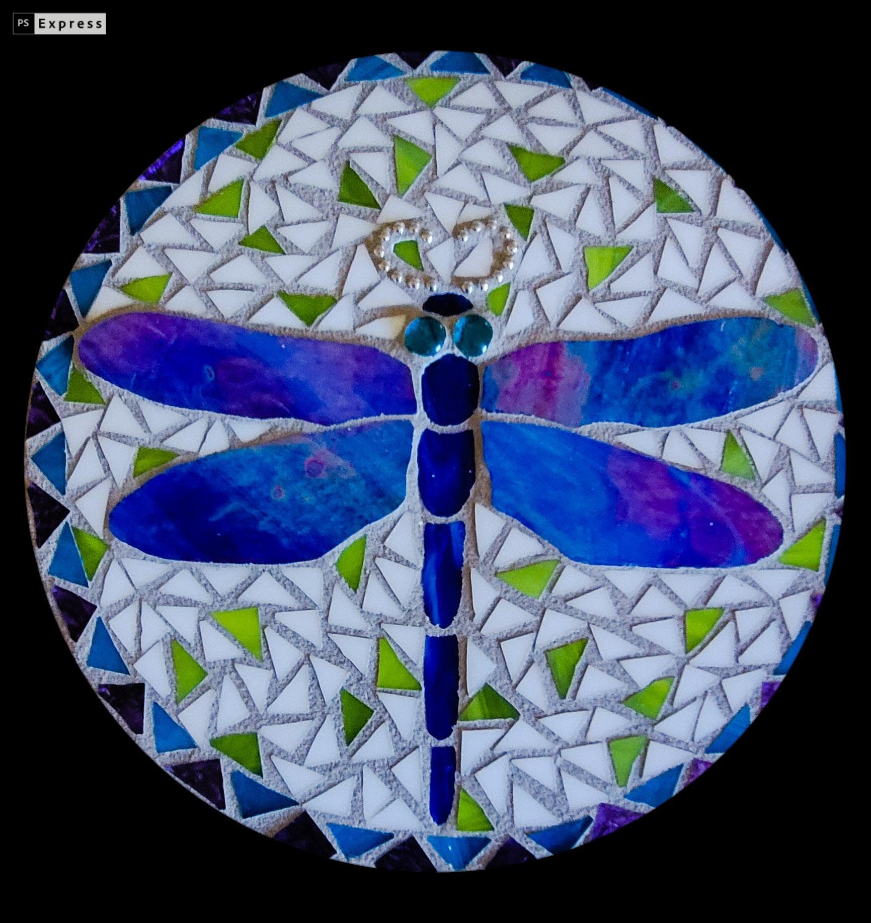 Mirrored mosaic/wood Teal Dragonfly wall art plaque decoration L36cm x W45cm-NEW 
