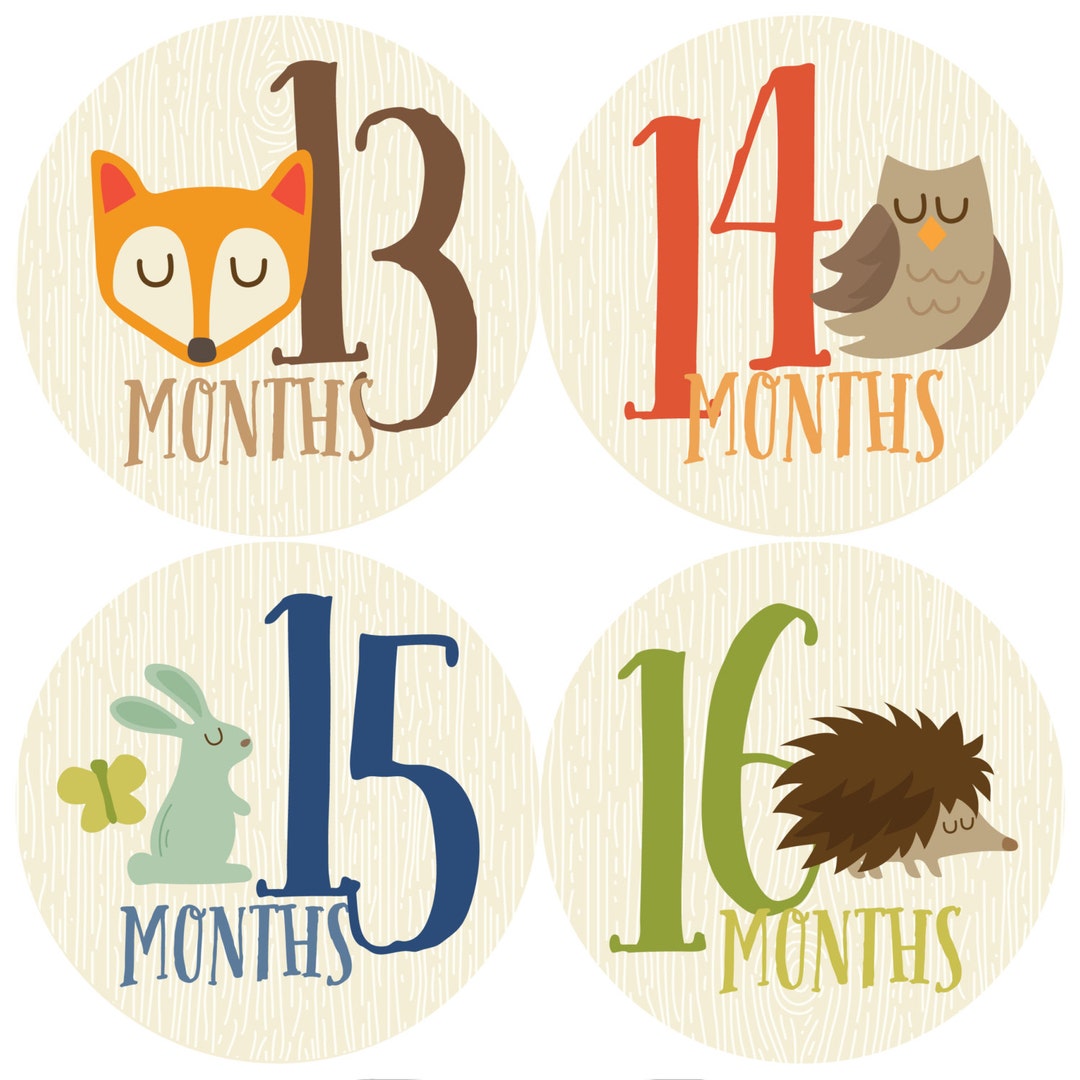 Monthly Baby Sticker Boy, Baby Month Sticker, Woodland, Milestone ...