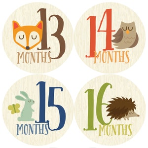 Monthly Baby Sticker Boy, Baby Month Sticker, Woodland, Milestone Sticker, Months 13-24, Month by Month Baby Sticker, Baby Gift, Baby