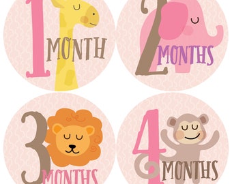 Pink Zoo, Monthly Baby Sticker Girl, Baby Month Sticker, Elephant, Milestone Sticker, Month by Month Baby Sticker, Baby Gift, Baby Girl