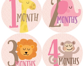 GIFT OFFER, Monthly Baby Sticker Girl, Baby Month Sticker, Zoo, Animals, Milestone Sticker, Month by Month Baby Sticker, Baby Gift Girl