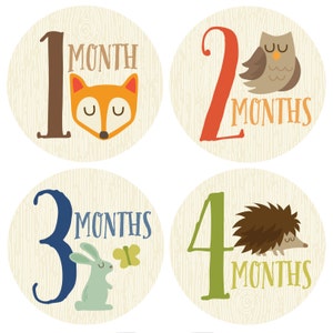GIFT OFFER, Monthly Baby Sticker Boy, Baby Month Sticker, Woodland, Milestone Sticker, Month by Month Baby Sticker, Baby Gift, Baby Boy