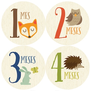 Spanish Baby Sticker, Español, etiquetas, Monthly Baby Sticker Boy, Baby Month Sticker, Milestone Sticker, Baby Gift, Baby boy
