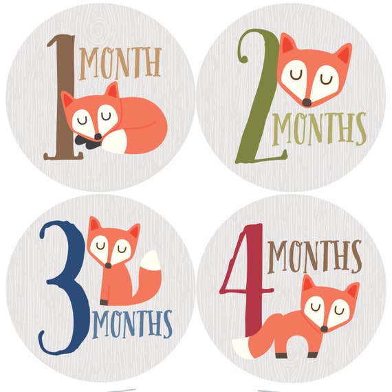 GIFT OFFER, Monthly Baby Sticker Boy, Baby Month Sticker, Woodland, Fox, Milestone Sticker, Month by Month Baby Sticker, Baby Gift, Baby Boy GIFT OFFER, Monthly Baby Sticker Boy, Baby Month Sticker, Woodland, Fox, Milestone Sticker, Month by Month Baby Sticker, Baby Gift, Baby Boy
