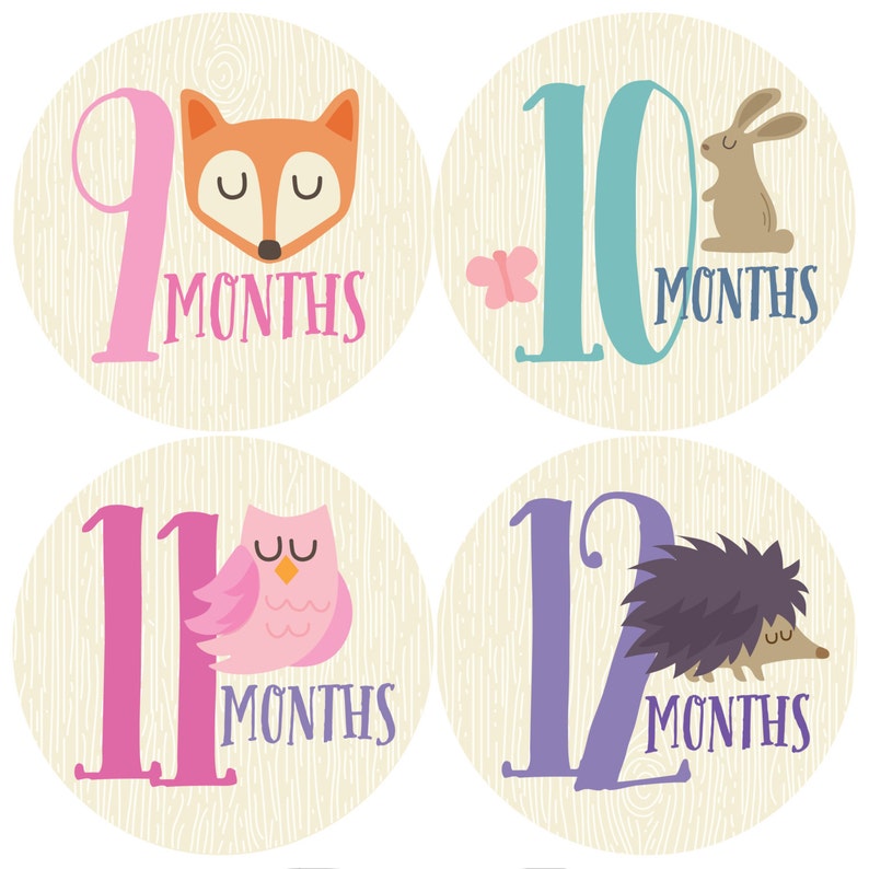 GIFT OFFER Monthly Baby Sticker Girl Baby Month Sticker Etsy