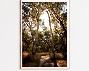 Printable AUSTRALIAN Landscape Nature Farmhouse Rustic Wall Art Digital Download