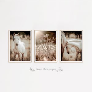 Horse Wall Art Set of 3 Digital Printable Landscape Nature Farmhouse Rustic Wall Art Digital Download Praise Photography