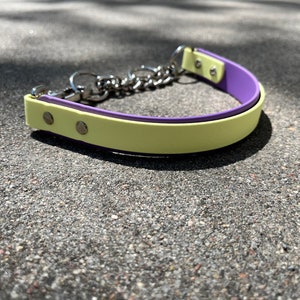 1&quot; Overlay Quick Release Martingale BioThane Dog Collar | half check collar | water dog collars | beta dog collar |
