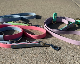 BioThane Dog Leash: 3/4" Multi-Color Convertible Training Lead