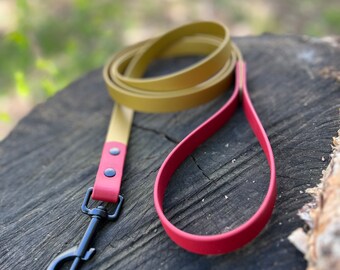Two Tone BioThane Dog Leash: 1” Waterproof Adventure Leash