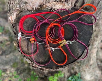 BioThane® Deluxe Dog Leash: 3/8" Clip or Slip, Waterproof, Multi Color