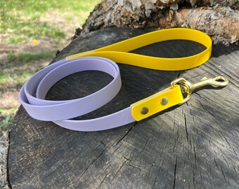 3/4" Two Tone BioThane Dog Leash:Waterproof Adventure Leash