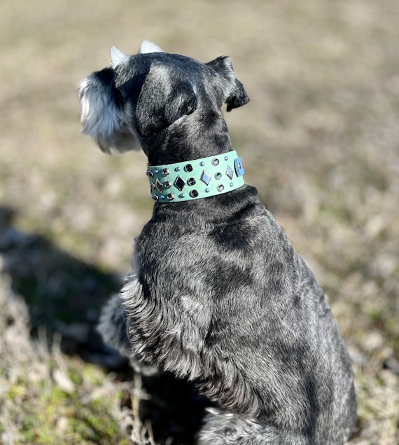 The Diamond Bling BioThane Collar | Beta BioThane collar | Gemstone collar |Stinkproof | Waterproof |