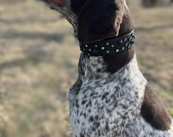 The Scatter (crystals & studs) Bling BioThane® Collar | Beta BioThane® collar | Gemstone collar |Stinkproof | Waterproof |