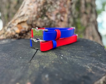 BioThane Waterproof Dog Collar: Two Tone Beta Collar with Silver Hardware