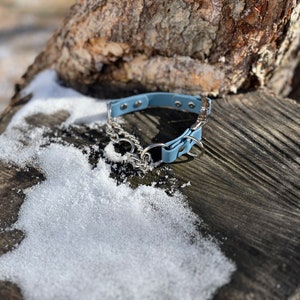 3/4 ”Schnellverschluss Martingale BioThane Hundehalsband | wasserdichtes Hundehalsband | halb Karo Kragen | Wasserhundehalsbänder | beta Hundehalsband
