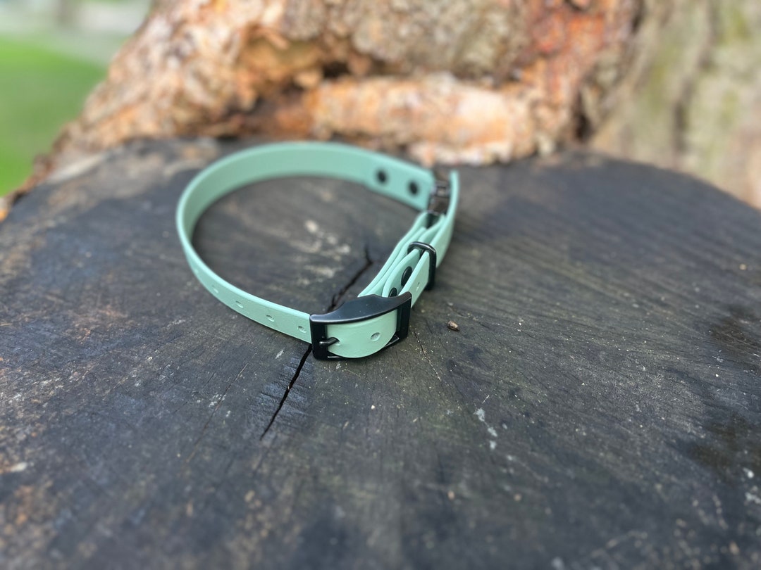Quickrelease Ecollar Strap 3/4 Biothane® No Bungee, Waterproof Collar