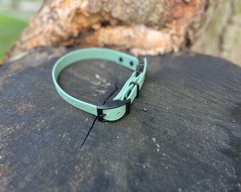 BioThane-snelsluiting E-halsband: waterdichte trainingshalsband, 3/4"