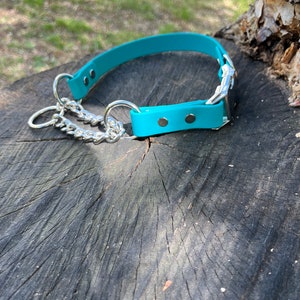 1” Quick Release Martingale BioThane Dog Collar | waterproof dog collar | half check collar | water dog collars | beta dog collar