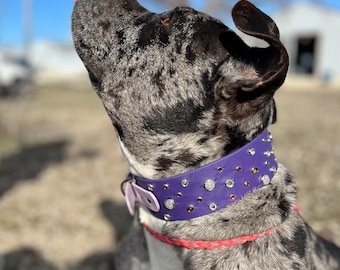 Glitz Scatter BioThane Dog Collar: Waterproof Gemstone Collar