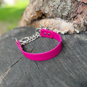 1&quot; Martingale BioThane Dog Collar | waterproof dog collar | half check collar | water dog collars | beta dog collar