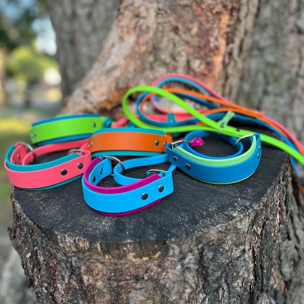 Two Tone BioThane French Martingale Dog Collar – Waterproof Kennel Leash