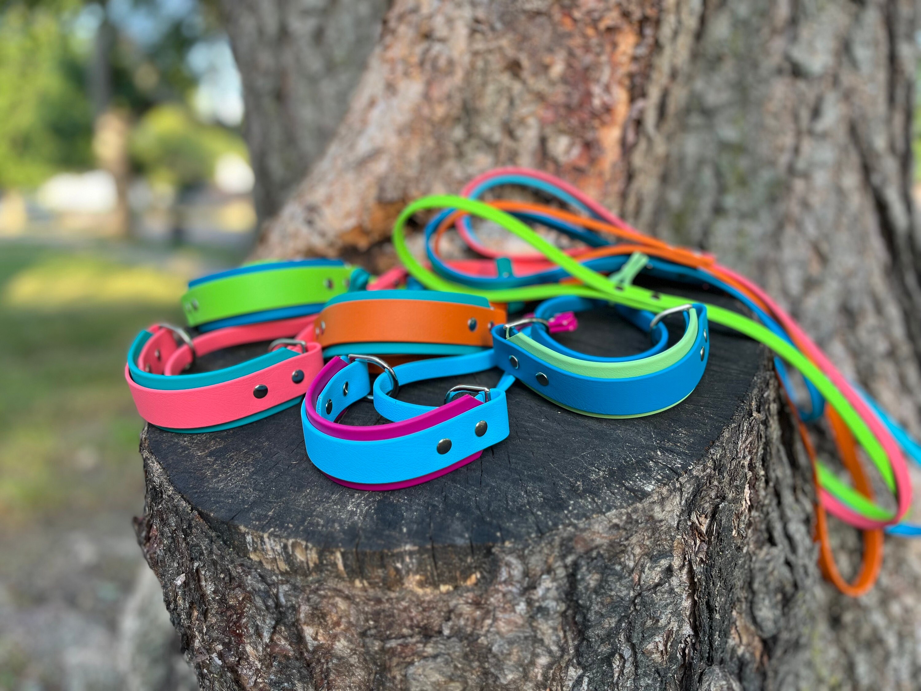 BioThane® Webbing 1.5” Two Tone French Martingale wide collar- Kennel leash, Martingale Slip leash, Martingale collar and leash in one.