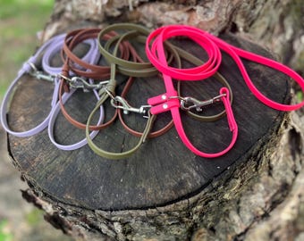 BioThane® Dog Leash: 3/8" Clip or Slip Leash, Waterproof Webbing