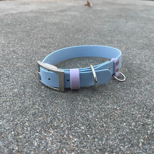1” BioThane Dog Collar Silver hardware - waterproof dog collar. two tone colorful collar water dog collars,  beta dog collar