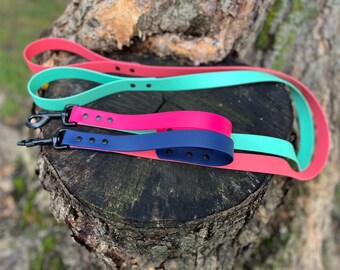 1" BioThane® Deluxe Dog Leash: Waterproof Adventure Leash with Traffic Handle